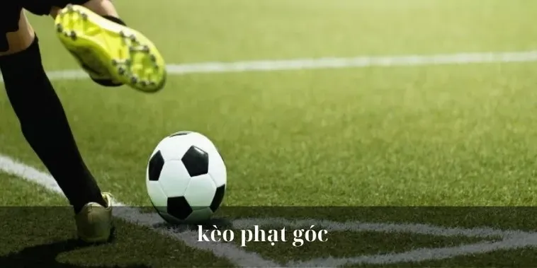 Khám Phá Chiến Thuật Soi Kèo Phạt Góc Bóng Đá Tại BongDaLu Chuẩn Xác