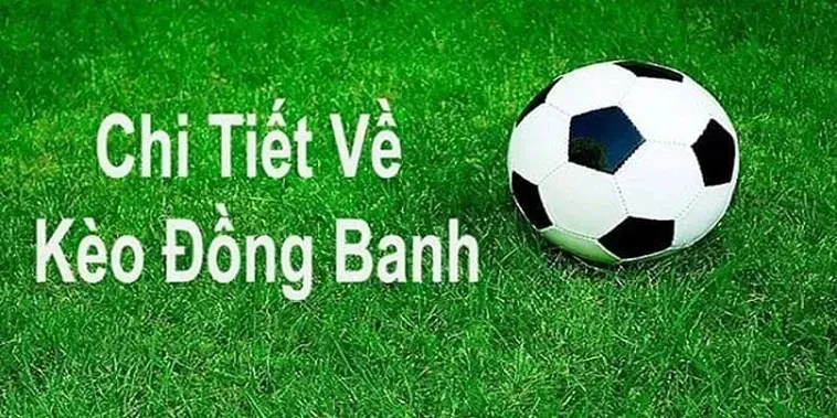 Giải Mã Hiện Tượng Kèo Đồng Banh Tại BongDaLu Trong Cá Cược Bóng Đá 2026
