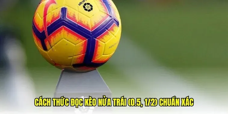Chiến Thuật Soi Kèo Chấp 0.5 Tại BongDaLu Tối Ưu Lợi Nhuận Cho Người Chơi