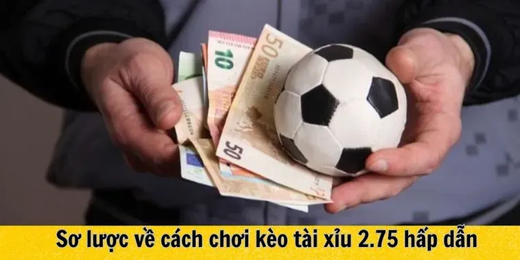 Bí Quyết Chinh Phục Kèo 2.75 Tại BongDaLu Đạt Tỷ Lệ Thắng Cao Kỷ Lục