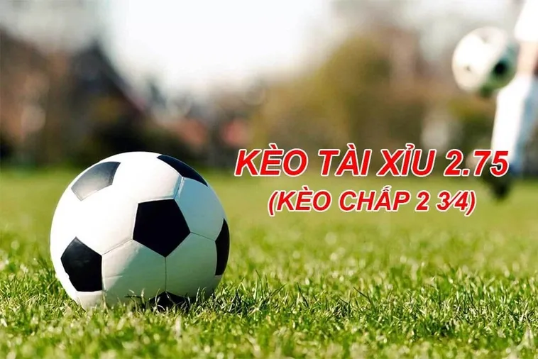 Kèo Chấp 2 3/4 Tại BongDaLu Chiến Thuật Đặt Cược Thông Minh Cho Người Chơi
